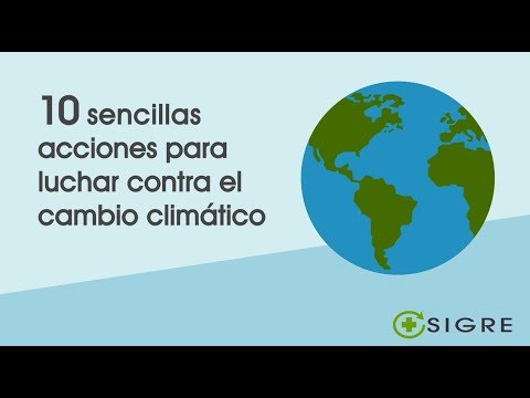 10 soluciones efectivas para prevenir el cambio climático.