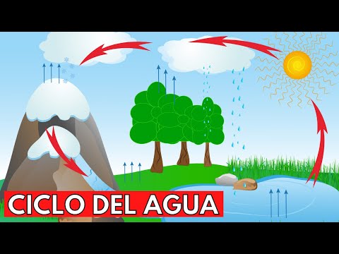 Ciclo del agua con dibujos: explicación detallada y visual del proceso natural de la circulación del agua en la Tierra