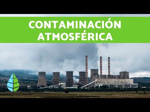 Contaminación atmosférica: definición y efectos en la salud y el medio ambiente